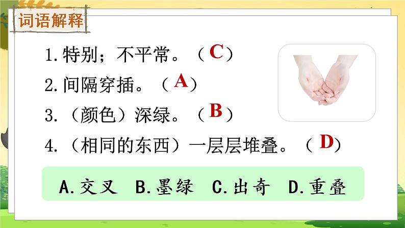 10 绿（课件）第8页