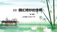 语文三年级下册22 我们奇妙的世界教学课件ppt