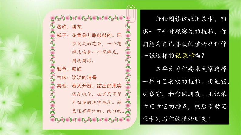 习作一：我的植物朋友（课件）2022-2023学年部编版语文三年级下册第2页