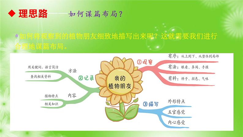 习作一：我的植物朋友（课件）2022-2023学年部编版语文三年级下册第6页