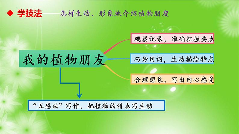 习作一：我的植物朋友（课件）2022-2023学年部编版语文三年级下册第7页