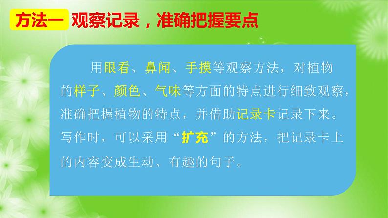 习作一：我的植物朋友（课件）2022-2023学年部编版语文三年级下册第8页