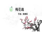 4《梅花魂》课件-2022-2023学年语文五年级下册（部编版）