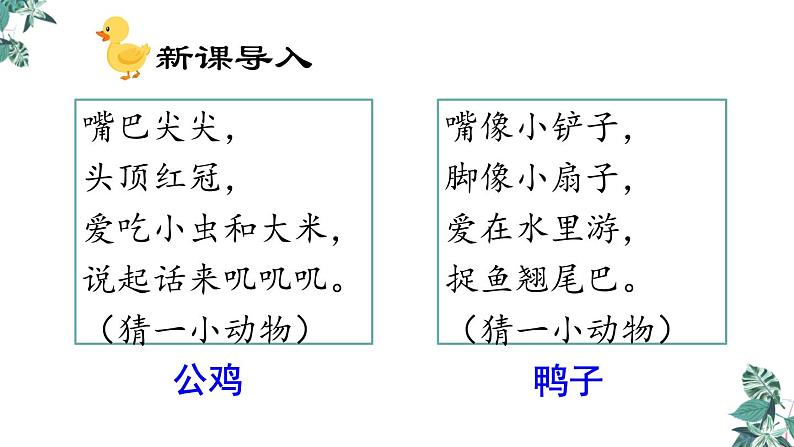 部编版一年级语文下册课件 第二单元 课文4 小公鸡和小鸭子第2页