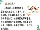 部编版一年级语文下册课件 第三单元 课文5 树和喜鹊