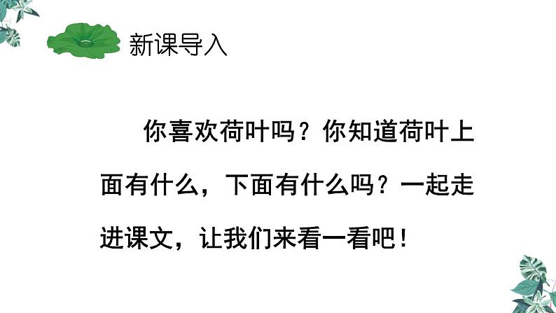 部编版一年级语文下册课件 第六单元课文12 荷叶圆圆第2页