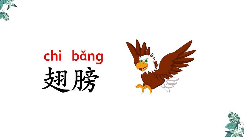 部编版一年级语文下册课件 第六单元课文12 荷叶圆圆第7页