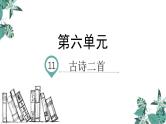 部编版一年级语文下册课件 第六单元课文11 古诗二首