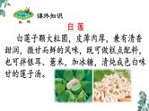 部编版一年级语文下册课件 第六单元课文11 古诗二首