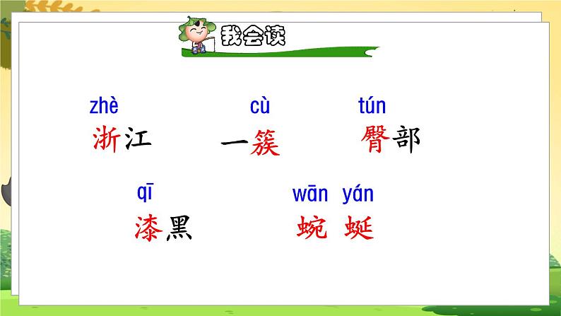 人教4语下 第5单元 17.记金华的双龙洞 PPT课件+教案05