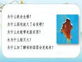 人教版语文四下快乐读书吧：十万个为什么（课件+教案）