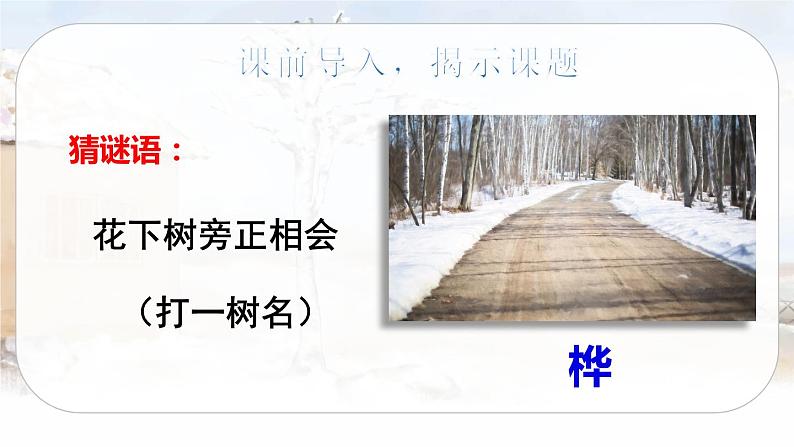 11 白桦（课件+教案+导学案+说课稿+课文朗读）02