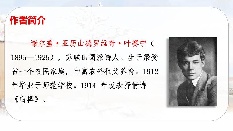 11 白桦（课件+教案+导学案+说课稿+课文朗读）05