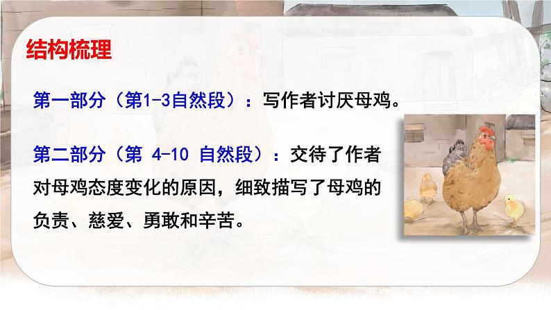 14 母鸡（课件+教案+导学案+说课稿+课文朗读）07