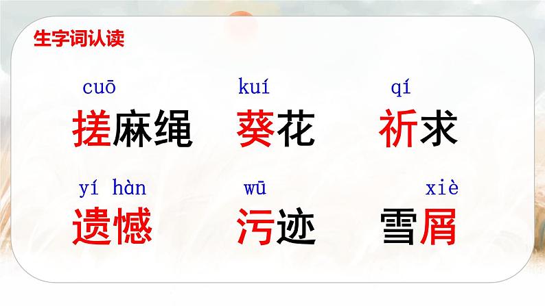 21 芦花鞋（课件+教案+导学案+说课稿+课文朗读）06