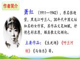 2 祖父的园子课件PPT
