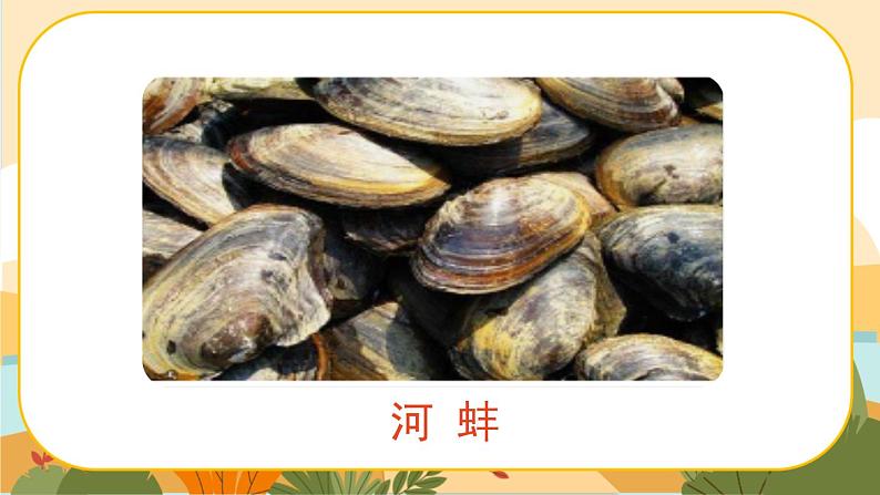 2《祖父的园子》课件+导学案+说课稿+课文朗读06