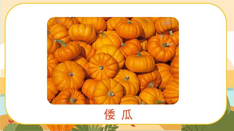 2《祖父的园子》课件+导学案+说课稿+课文朗读07