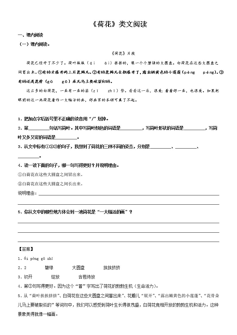 第3课  荷花——部编版三年级语文同步课文类文阅读理解第1页
