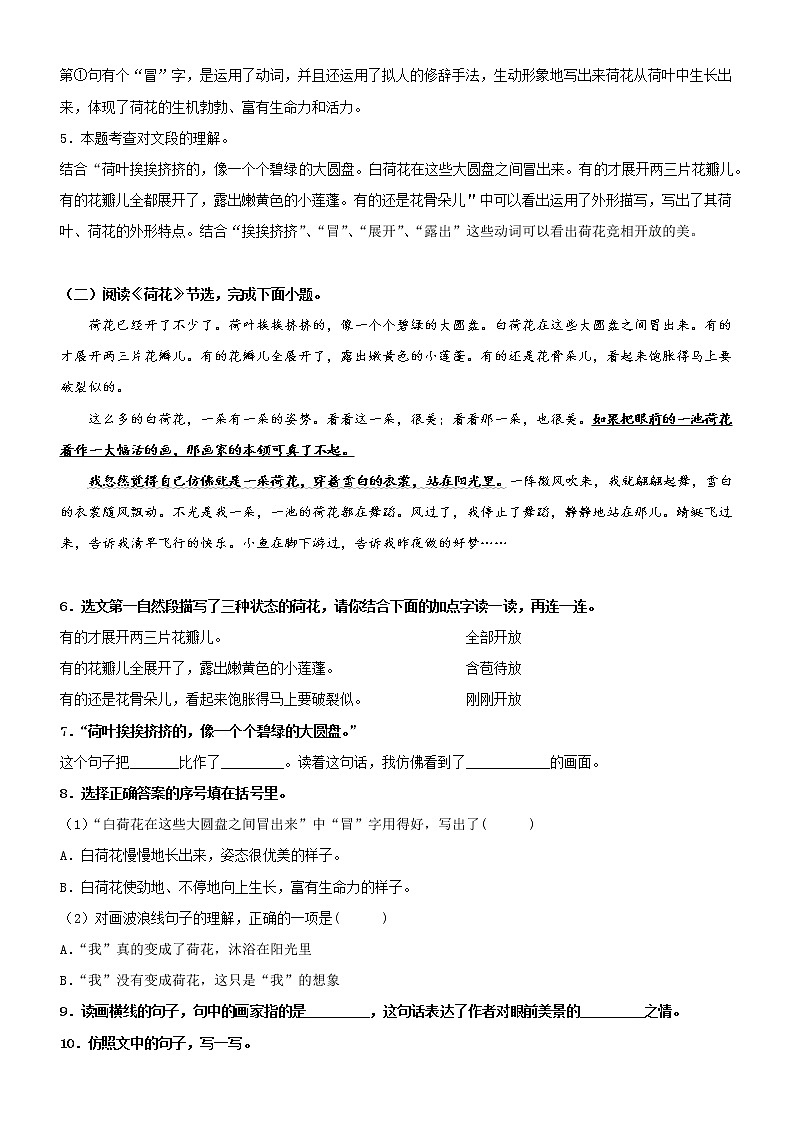 第3课  荷花——部编版三年级语文同步课文类文阅读理解第3页
