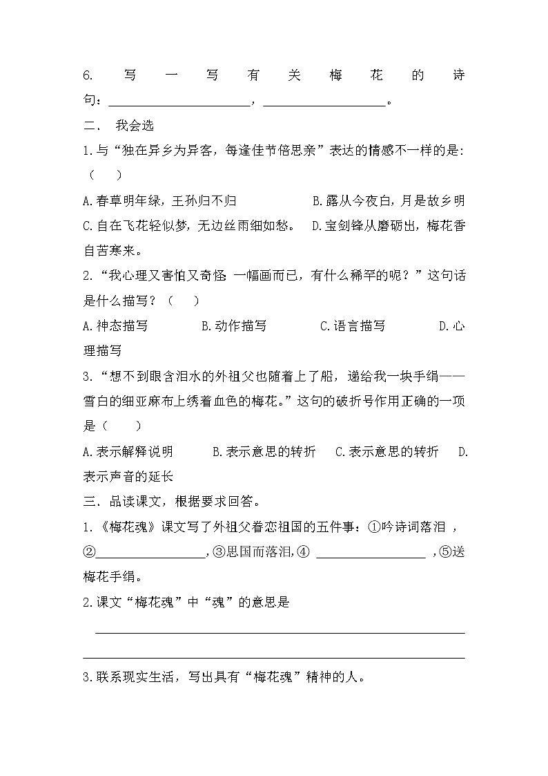 4《梅花魂》（同步练习）部编版语文五年级下册02