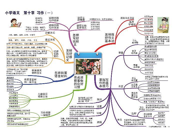 小学语文 思维导图-知识点归纳10-习作（一）01