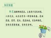 人教版语文二年级下册（教学课件）3开满鲜花的小路第1课时