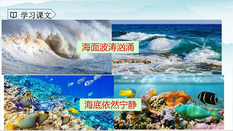 人教部编版三年级语文下册23《海底世界》第二课时PPT课件+教学设计+音频素材05