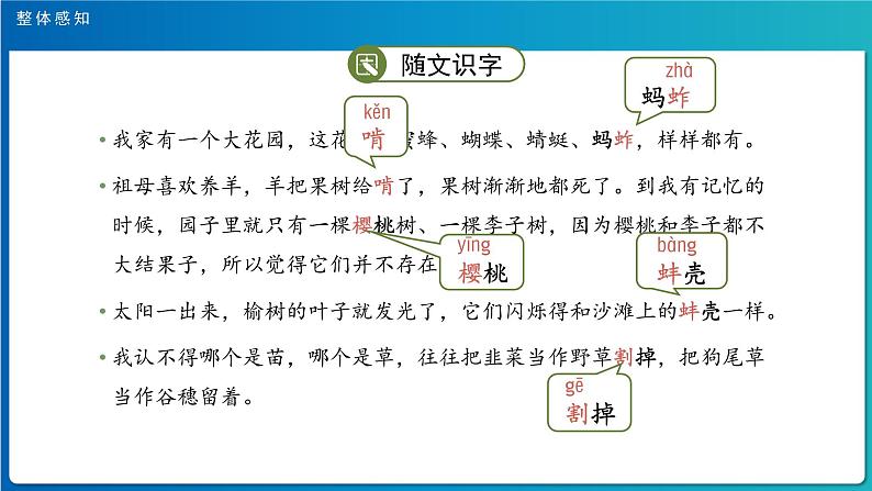 《祖父的园子》第1课时示范公开课教学课件【人教部编版五年级下册】06