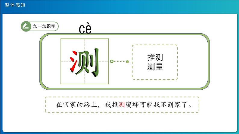 《蜜蜂》第1课时示范公开课教学课件（定稿）【人教部编版三年级下册】第8页