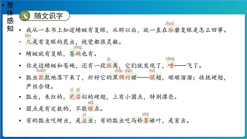 《昆虫备忘录》示范公开课教学课件（定稿）【人教部编版三年级下册】05