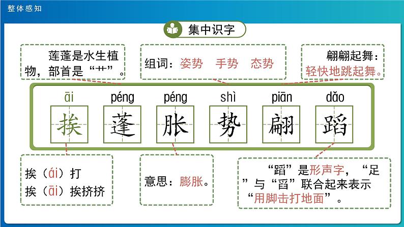 《荷花》第1课时示范公开课教学课件（定稿）【人教部编版三年级下册】第7页