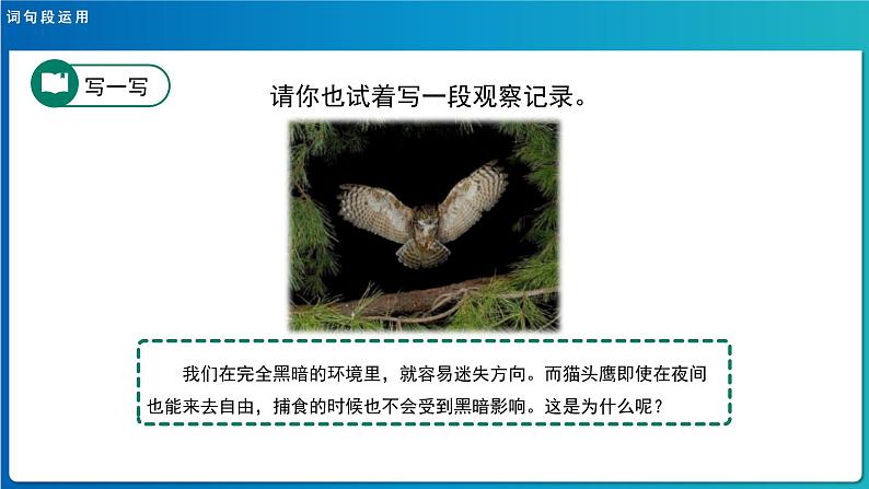 《语文园地四》示范公开课教学课件（定稿）【人教部编版三年级下册】07