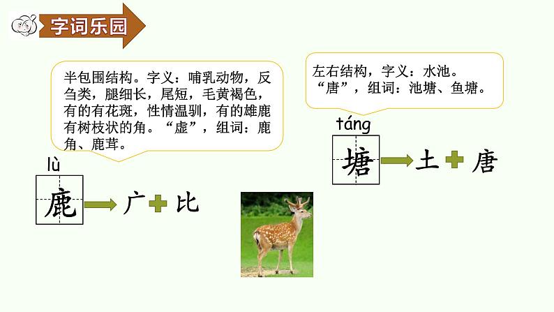 鹿角和鹿腿第一课时课件PPT第8页