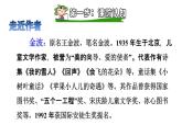 部编版一年级语文下册--6.树和喜鹊（课件）