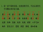 部编版六年级语文下册--5 鲁滨逊漂流记（节选）（课件）