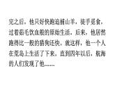 部编版六年级语文下册--5 鲁滨逊漂流记（节选）课件PPT