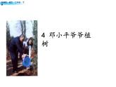 （3）4.邓小平爷爷植树2课件PPT