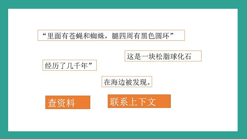 四下语文第二单元第一课《琥珀》课件PPT第5页