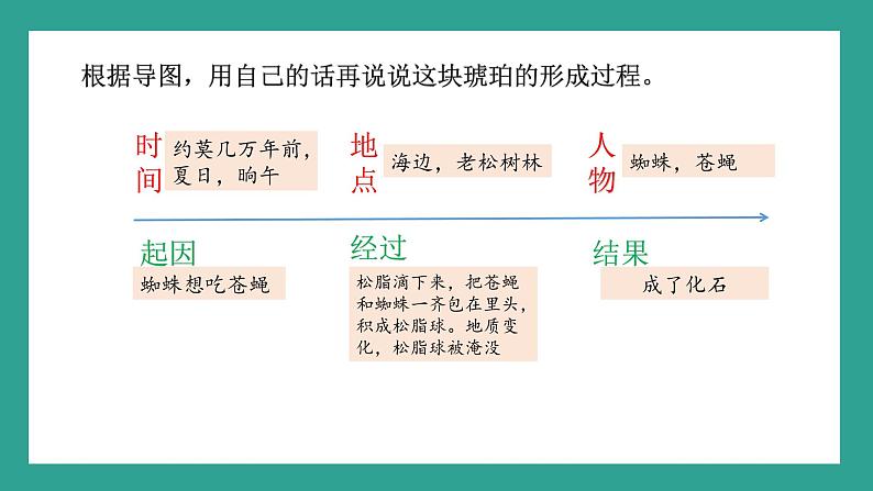 四下语文第二单元第一课《琥珀》课件PPT第7页