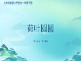 《荷叶圆圆》第1课时示范公开课教学课件【人教部编版一年级下册】