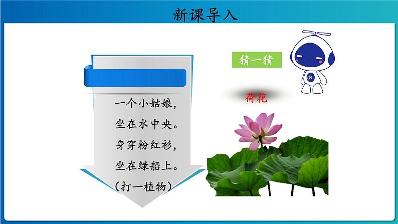 《古诗二首·池上》示范公开课教学课件【人教部编版一年级下册】第2页