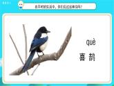 《树和喜鹊》第1课时示范公开课教学课件【人教部编版一年级下册】
