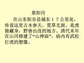 部编版五年级语文下册--6.景阳冈（课件1）