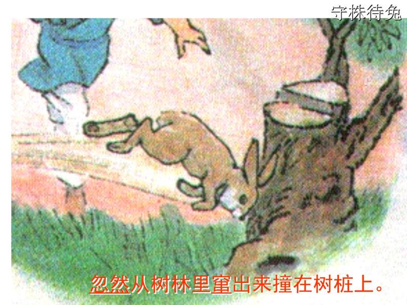 部编版三年级语文下册--5.守株待兔（课件1）05