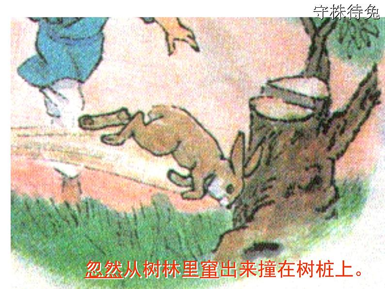 部编版三年级语文下册--5.守株待兔（课件1）第5页