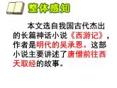部编版五年级语文下册--7.猴王出世（课件4）