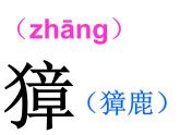 部编版五年级语文下册--7.猴王出世（课件4）