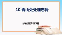 人教部编版五年级下册11 青山处处埋忠骨优秀ppt课件