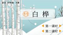 语文四年级下册11 白桦课前预习ppt课件